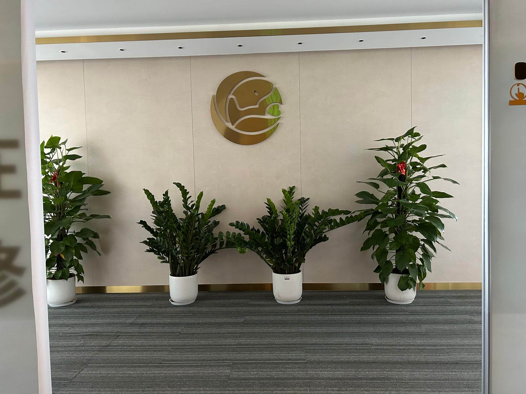 望京绿地中心 850平米办公室